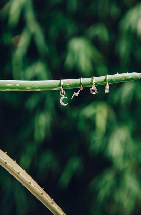 Earing charms